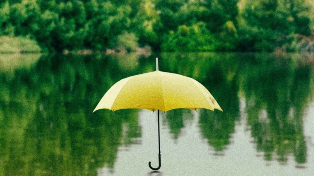 select best umbrella