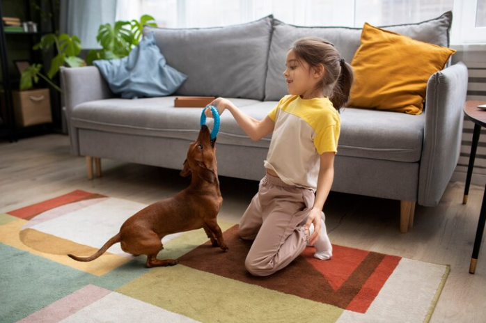 What is the use of AI Powered Pet Companion for home