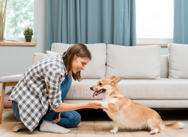 What is the use of AI Powered Pet Companion for home