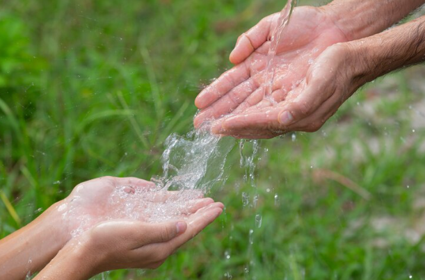Drips to Drops: Practical Ways to Save Water at Home